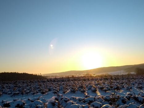 Blick Richtung Hombeer