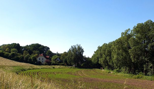 Lachheim
