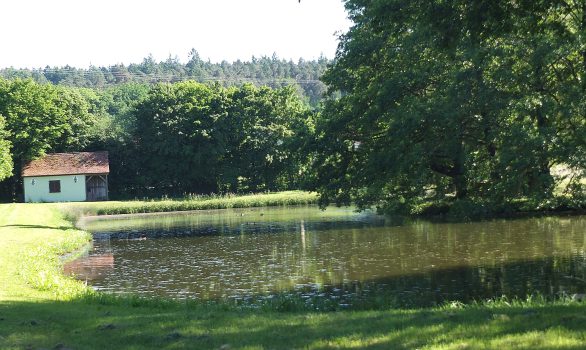 Lerchenhöchstadt Weiher 2