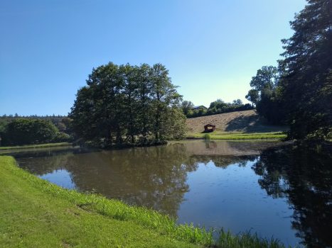 Lerchenhöchstadt Weiher